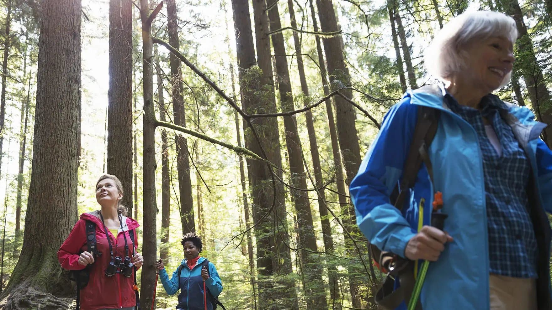 Two women hiking surrounded by trees